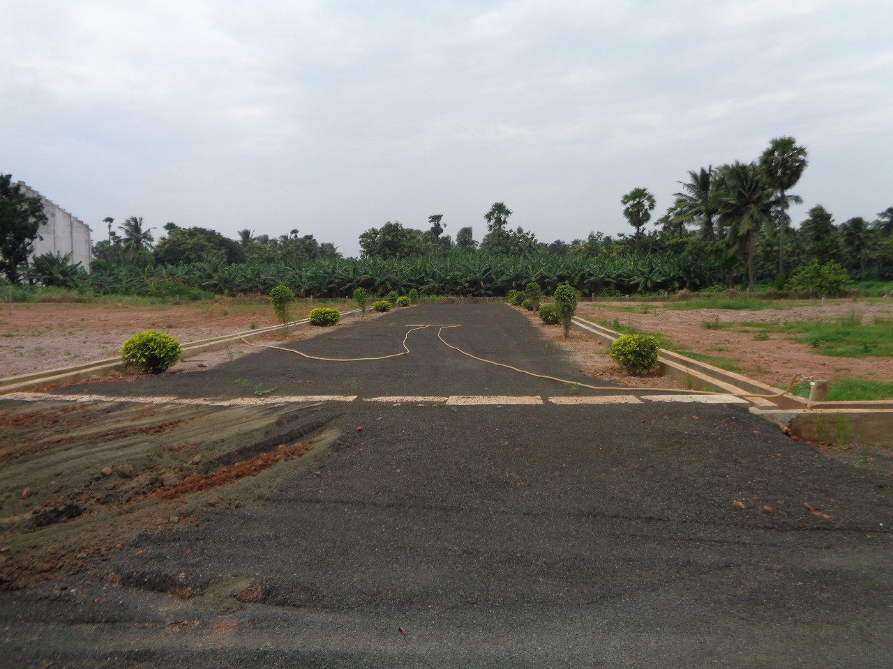 Dtcp Plots For Sale At Main Road Someswaram