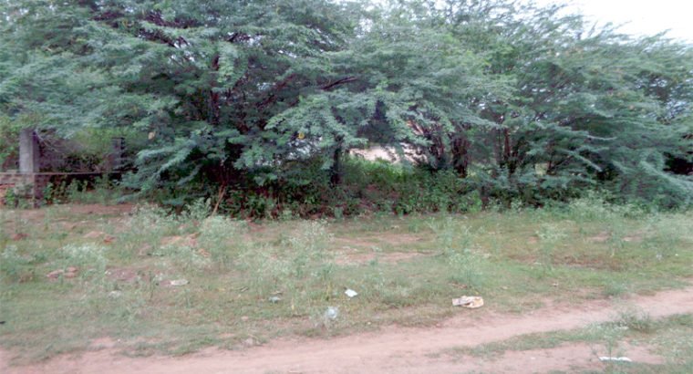 387 Sq Yards Land For Sale at Kathipudi