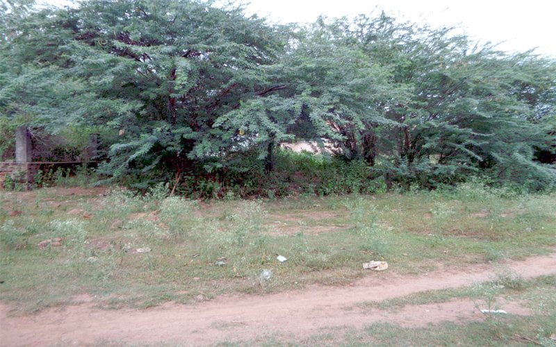 387 Sq Yards Land For Sale at Kathipudi