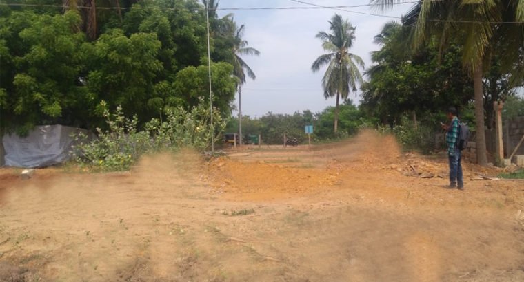 Site for Sale at Vetlapalem, Samalkota