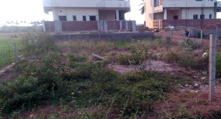 280 Sq Yrds Land for Sale at Madhavapatnam, Kakinada