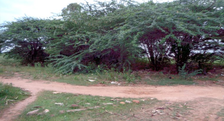 387 Sq Yards Land For Sale at Kathipudi