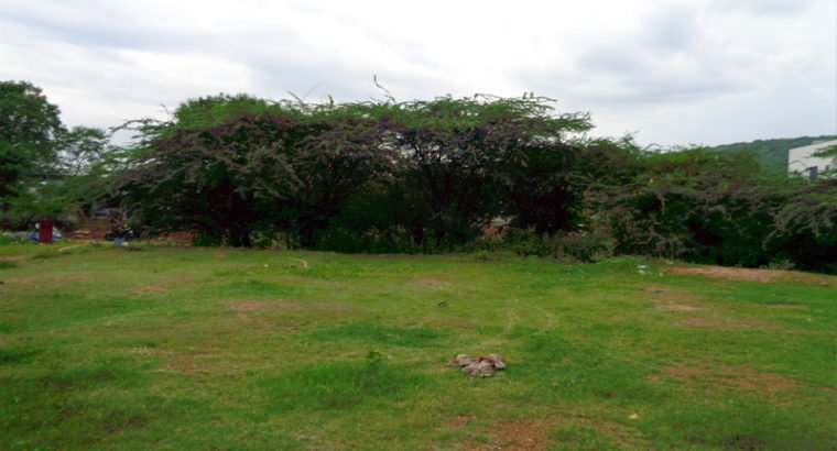 387 Sq Yards Land For Sale at Kathipudi