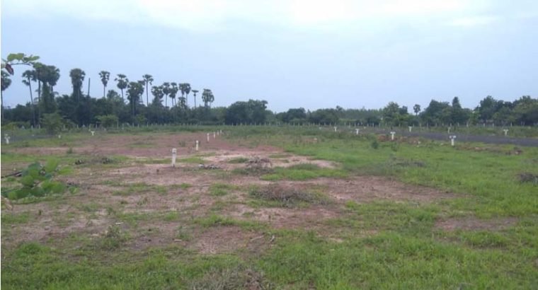 Residential Plots for Sale at Annadevarapeta, Tallapudi