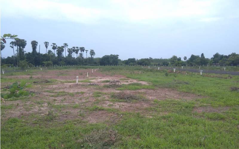 Residential Plots for Sale at Annadevarapeta, Tallapudi