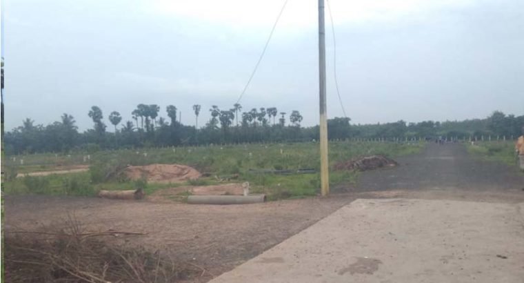 Residential Plots for Sale at Annadevarapeta, Tallapudi