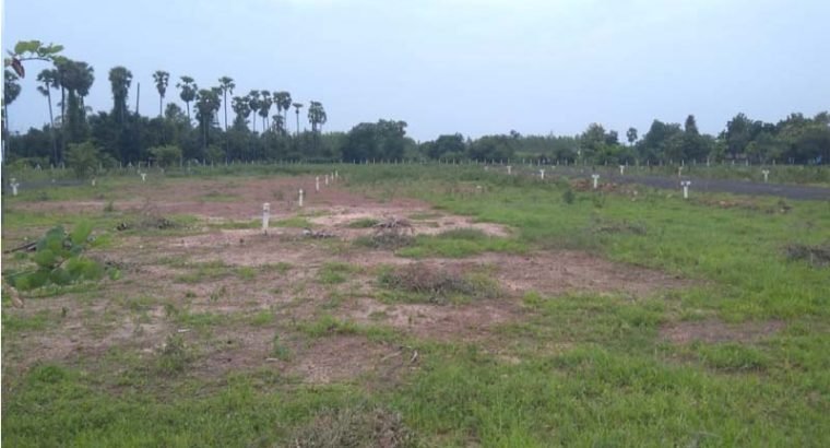 Residential Plots for Sale at Annadevarapeta, Tallapudi