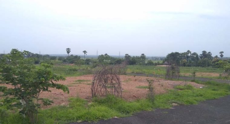 Residential Plots for Sale at Annadevarapeta, Tallapudi