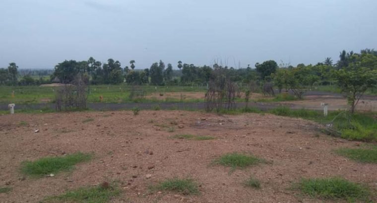 Residential Plots for Sale at Annadevarapeta, Tallapudi