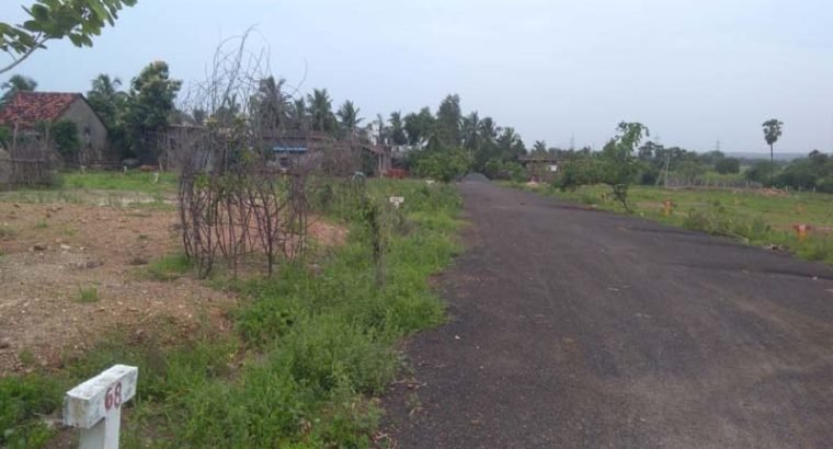 Residential Plots for Sale at Annadevarapeta, Tallapudi