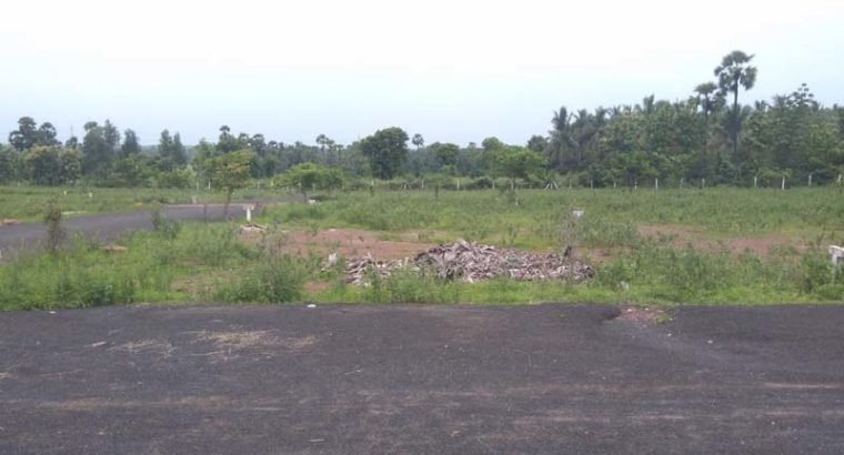 Residential Plots for Sale at Annadevarapeta, Tallapudi