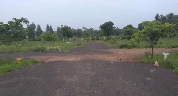 Residential Plots for Sale at Annadevarapeta, Tallapudi