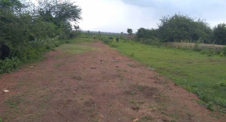 Commercial Plots for Sale at kolamuru Korukonda