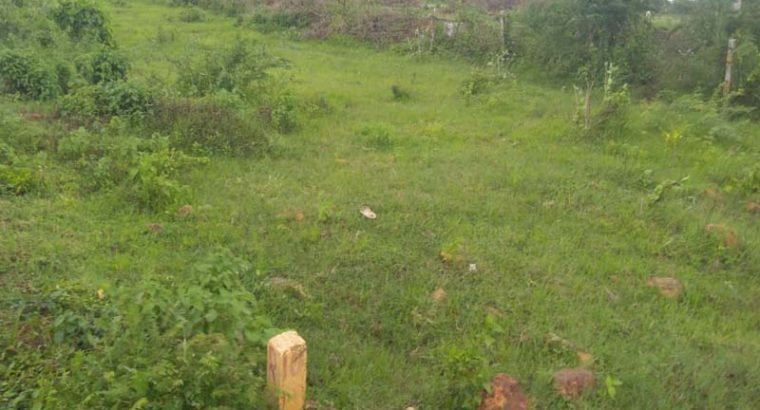 Commercial Plots for Sale at kolamuru Korukonda