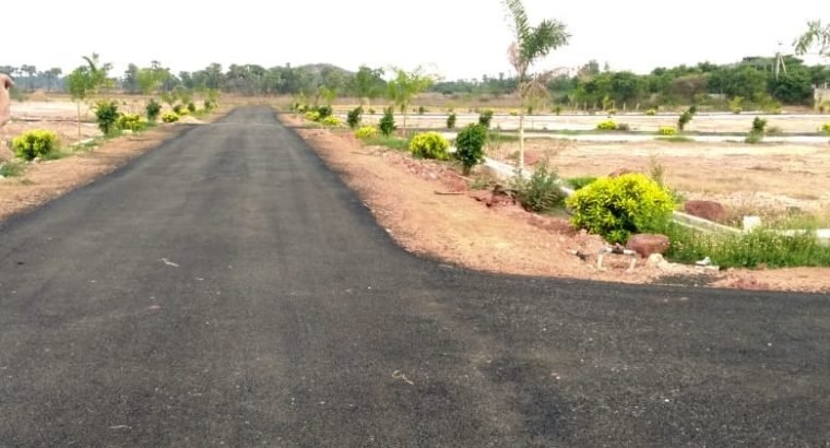 Residential Plots for Sale at Valu Thimmapuram, Peddapuram.