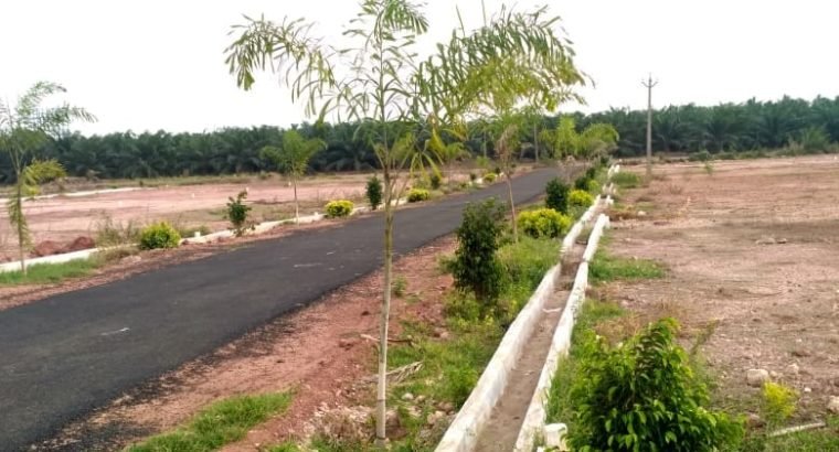 Residential Plots for Sale at Valu Thimmapuram, Peddapuram.