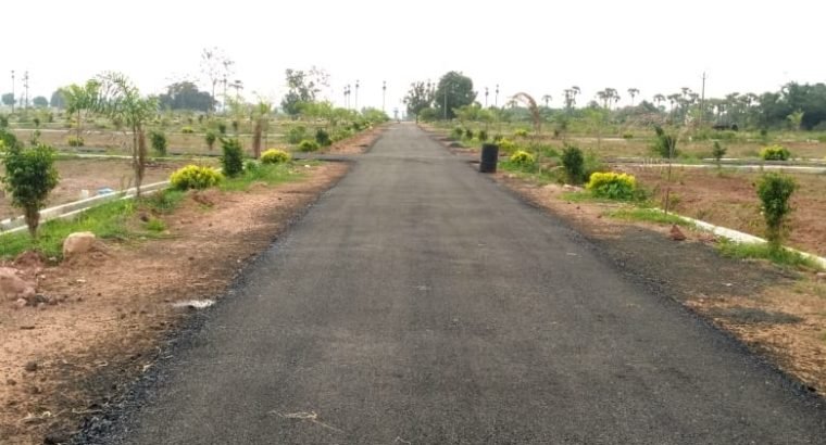 Residential Plots for Sale at Valu Thimmapuram, Peddapuram.