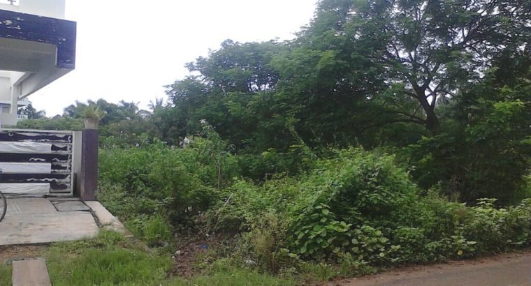 Open Land For Sale at Palakollu