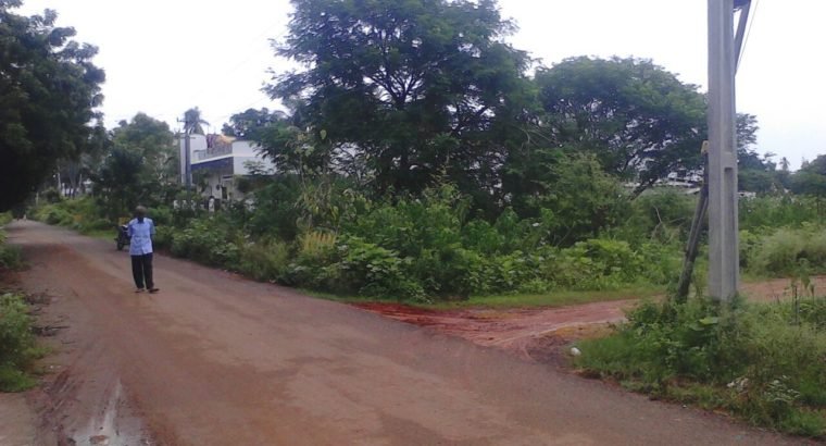 Open Land For Sale at Palakollu