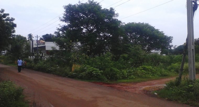 Open Land For Sale at Palakollu