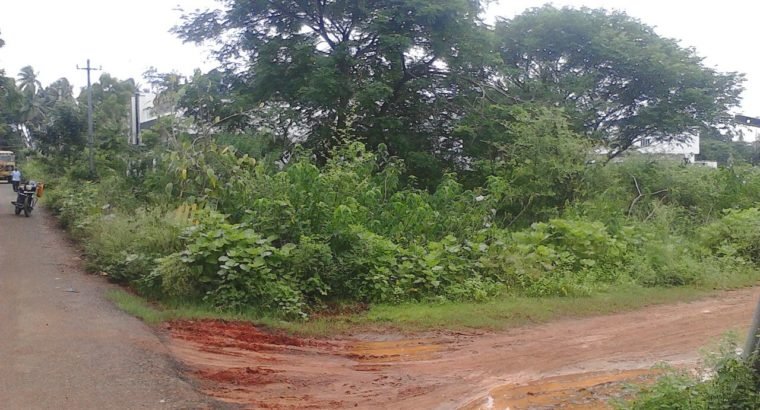 Open Land For Sale at Palakollu