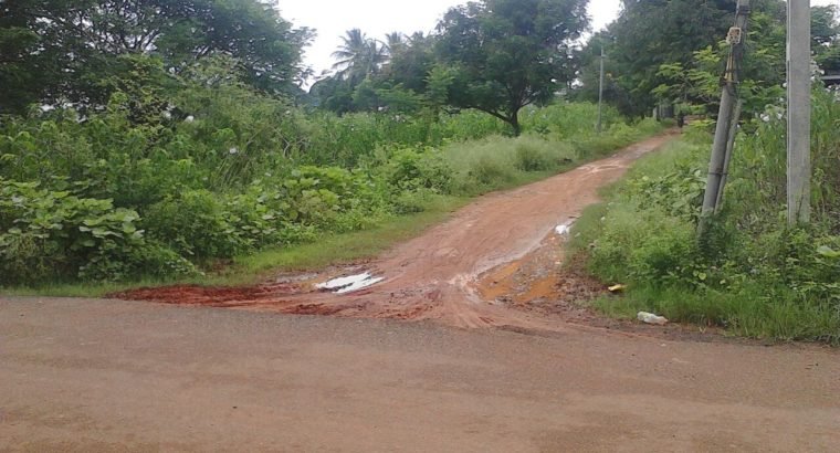 Open Land For Sale at Palakollu