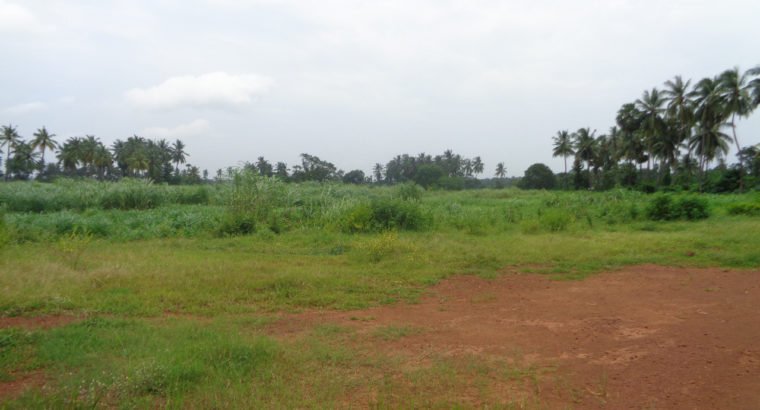 Godown + Open Land For Lease at Someswaram