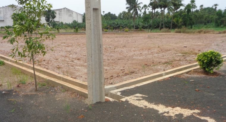 DTCP Plots for Sale at Main Road Someswaram