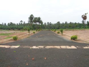 DTCP Plots for Sale at Main Road Someswaram