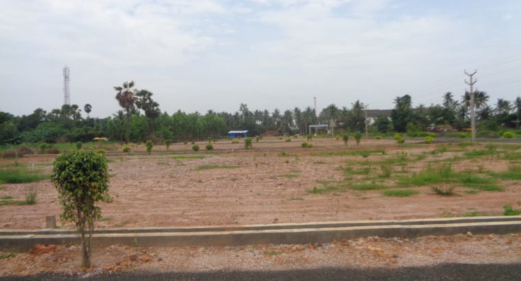 DTCP Plots for Sale at Main Road Someswaram