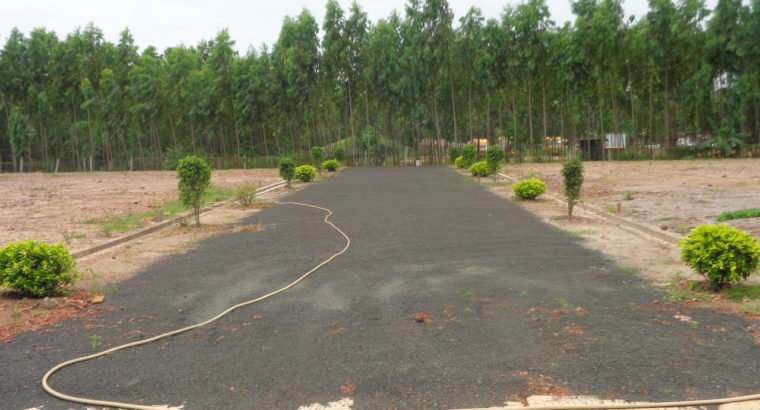 DTCP Plots for Sale at Main Road Someswaram