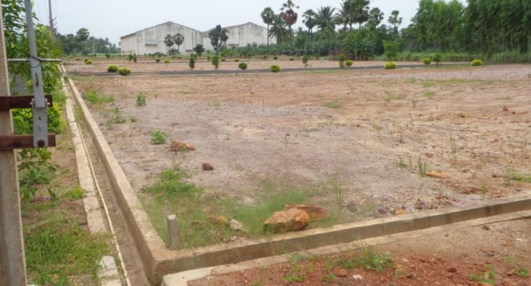 DTCP Plots for Sale at Main Road Someswaram