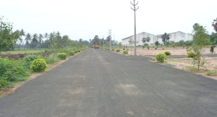 DTCP Plots for Sale at Main Road Someswaram