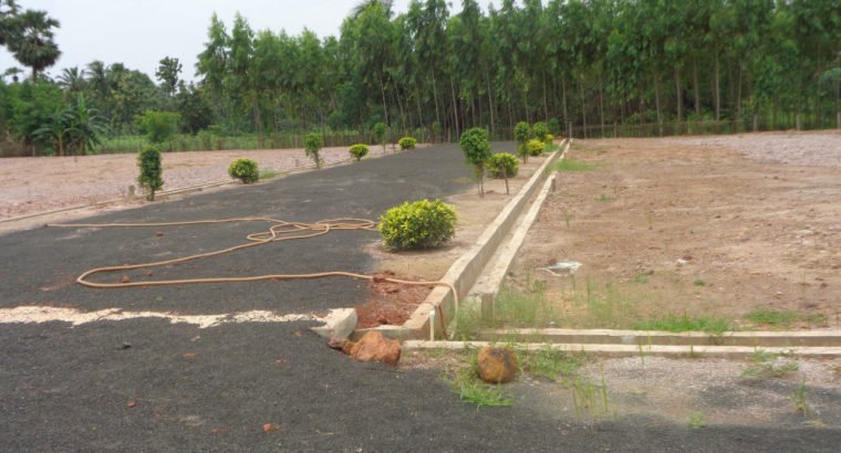 DTCP Plots for Sale at Main Road Someswaram