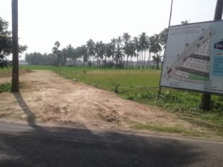 DTCP Approved Plots For Sale at Veeravasam to Marteru Lane (Penumantra Mandalam)