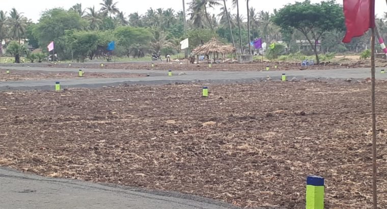 Plots For Sale at Polamuru Village, Penumantra