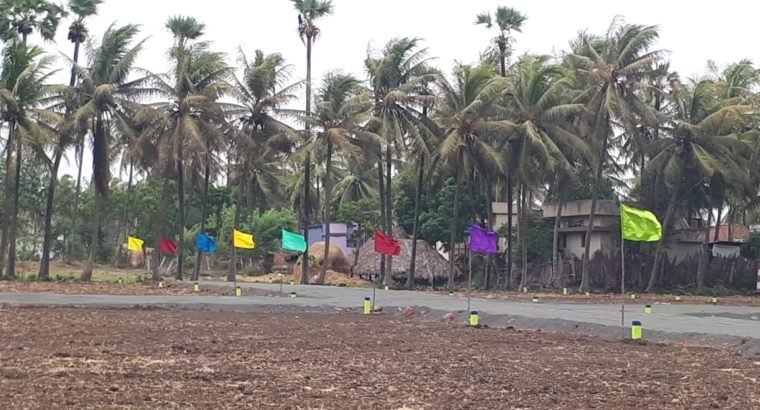 Plots For Sale at Polamuru Village, Penumantra