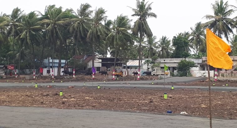 Plots For Sale at Polamuru Village, Penumantra