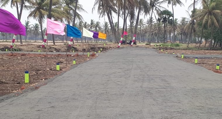 Plots For Sale at Polamuru Village, Penumantra