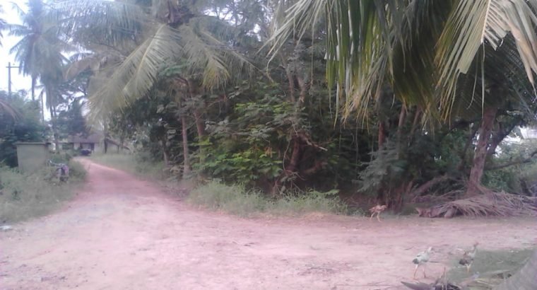 Residential Site for Sale at Highway Road, Tanuku