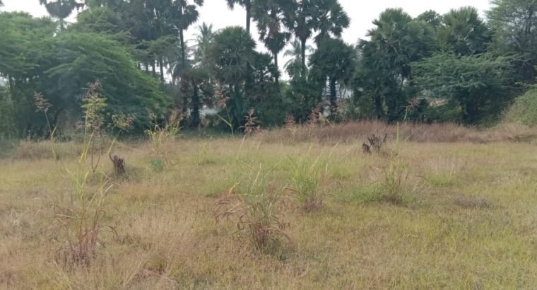 Commercial Open Land for Lease Or Rent at Chepuru, Tuni