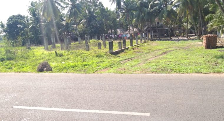 Site For Lease at By Pass Road, Pulletikurru