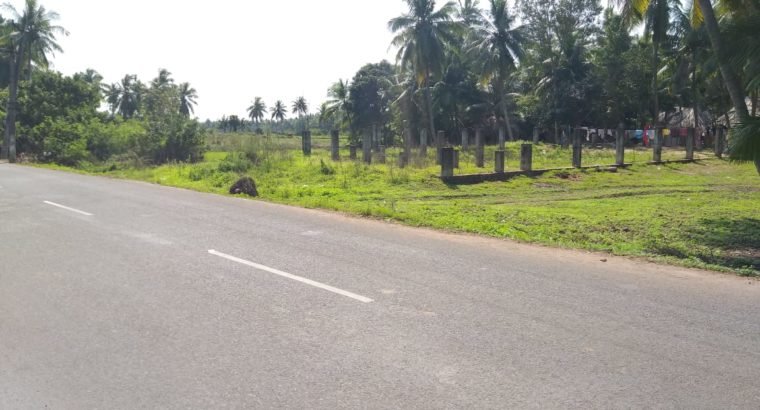 Site For Lease at By Pass Road, Pulletikurru