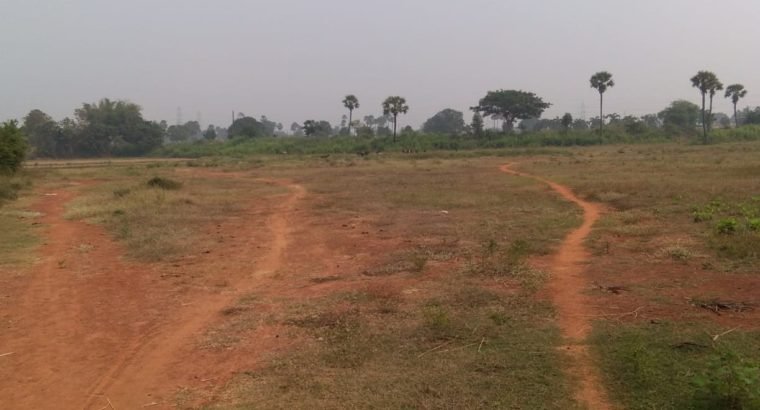 Land For Sale at Pallakadiyam, Rajanagaram