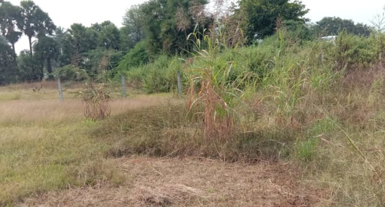 Commercial Open Land for Lease Or Rent at Chepuru, Tuni