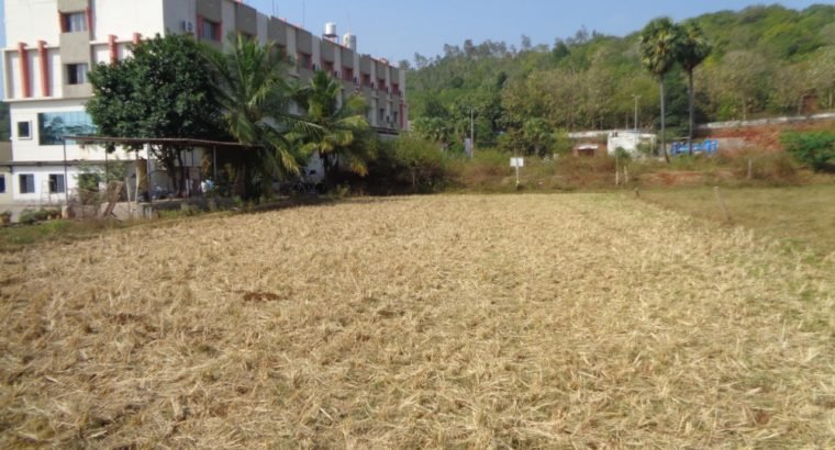 Commercial Site for Sale at NH16 Highway, Annavaram