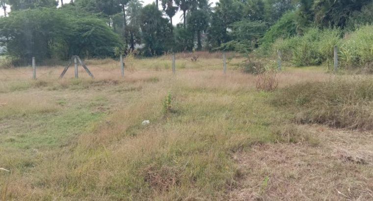 Commercial Open Land for Lease Or Rent at Chepuru, Tuni