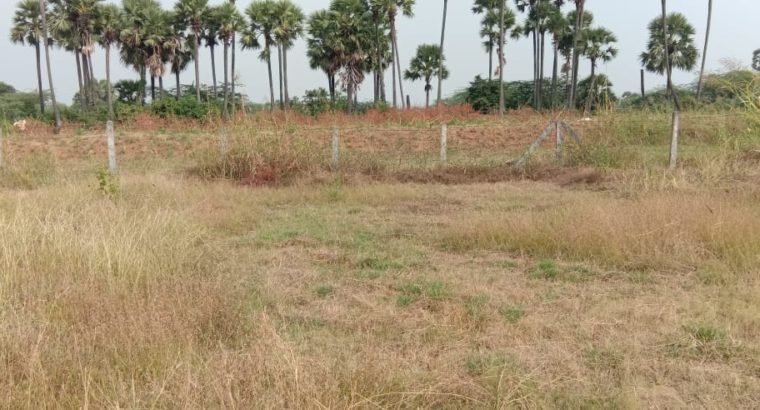 Commercial Open Land for Lease Or Rent at Chepuru, Tuni