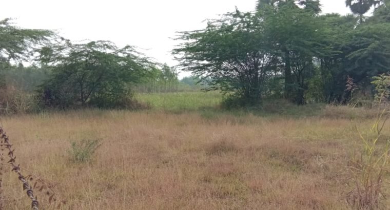 Commercial Open Land for Lease Or Rent at Chepuru, Tuni