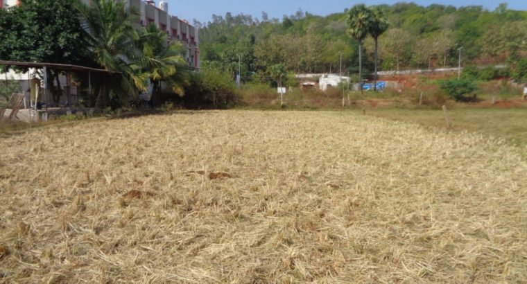 Commercial Site for Sale at NH16 Highway, Annavaram